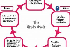 Unlock Cycle Study Secrets: Predict & Plan | Study Travel Abroad | Explore Educational Trips & Global Learning Opportunities