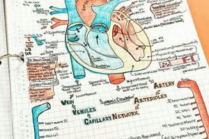 Best Medical Study Notes: Ace Your Exams & Boards! | Study Travel Abroad | Explore Educational Trips & Global Learning Opportunities
