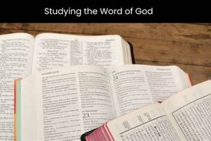 Guide to Study the Word of God for Deeper Faith | Study Travel Abroad | Explore Educational Trips & Global Learning Opportunities