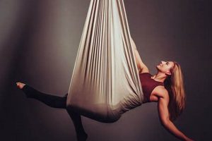 Learn Aerial Dragonfly Movement Studio Arts - [Studio Name] | Study Travel Abroad | Explore Educational Trips & Global Learning Opportunities
