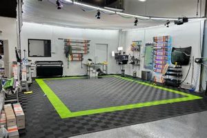 Your Detroit Tint Studio: Premium Auto Tints! | Study Travel Abroad | Explore Educational Trips & Global Learning Opportunities