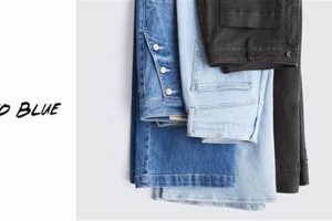 Best Studio Blue Jeans: Durable Workwear + Style! | Study Travel Abroad | Explore Educational Trips & Global Learning Opportunities