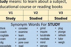 Mastered? Past Tense for Study: Grammar Guide | Study Travel Abroad | Explore Educational Trips & Global Learning Opportunities