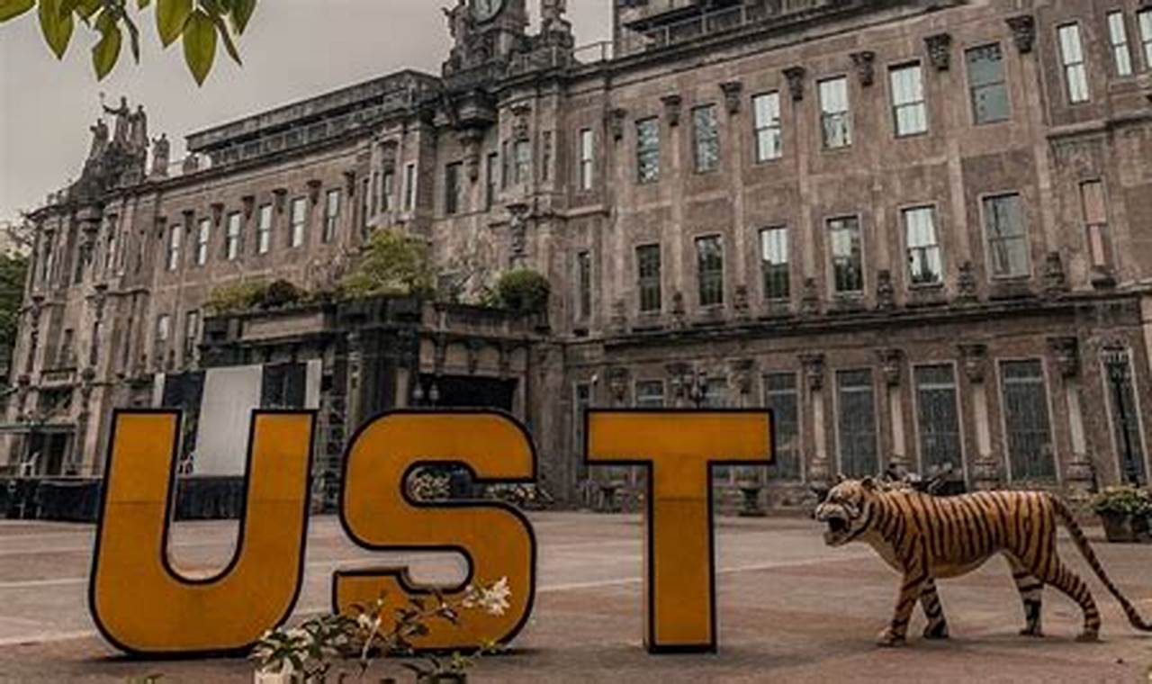Why UST Study Abroad? Your Global Education | Study Travel Abroad | Explore Educational Trips & Global Learning Opportunities