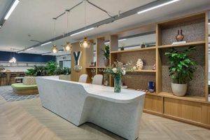 Boost Your Brand: Studio Y Collaborative Magic | Study Travel Abroad | Explore Educational Trips & Global Learning Opportunities