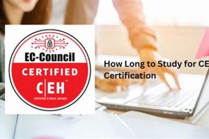 CEH Study: How Long To Study for CEH Certification? Guide | Study Travel Abroad | Explore Educational Trips & Global Learning Opportunities