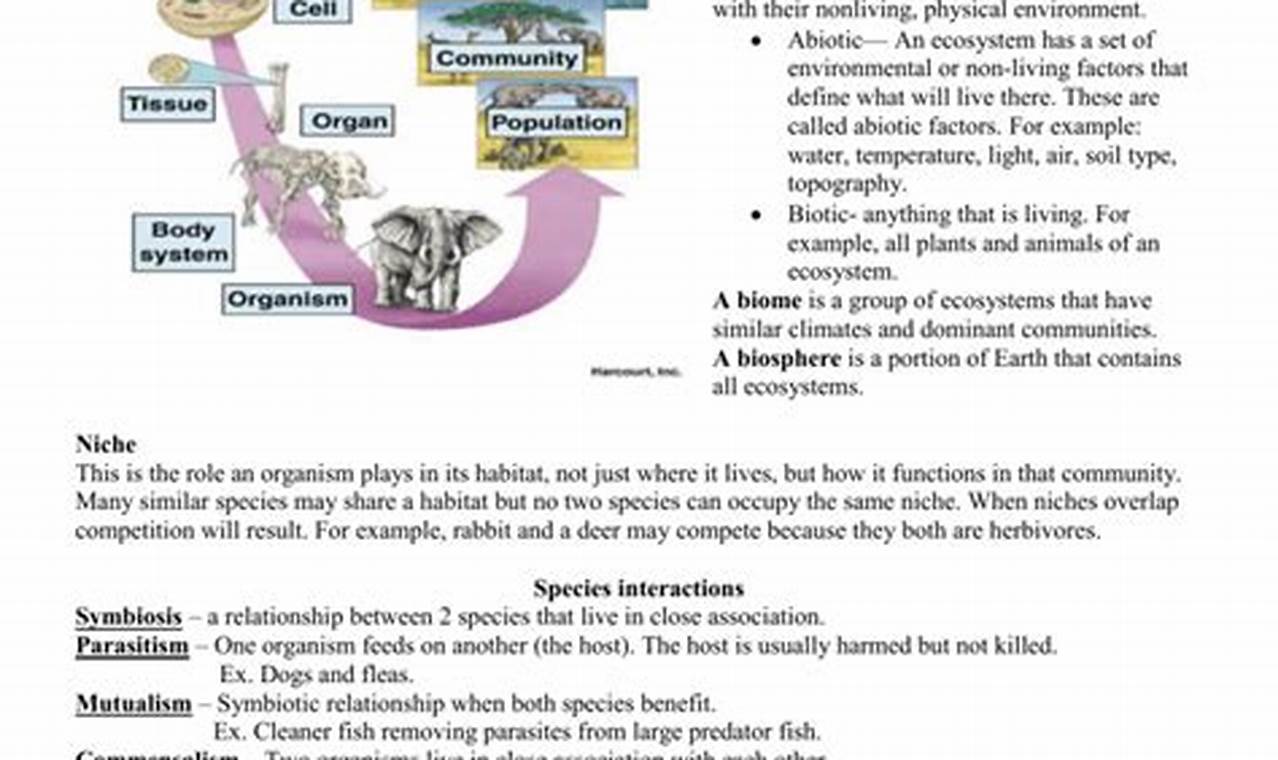 Top Ecology Study Guide: Your Eco-Success Key! | Study Travel Abroad | Explore Educational Trips & Global Learning Opportunities