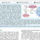 Decoding Sun et al's Plasm Protein 3282: A Key Study | Study Travel Abroad | Explore Educational Trips & Global Learning Opportunities