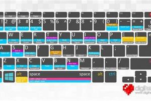 Master Clip Studio Paint: Shortcut Keys & Tips | Study Travel Abroad | Explore Educational Trips & Global Learning Opportunities