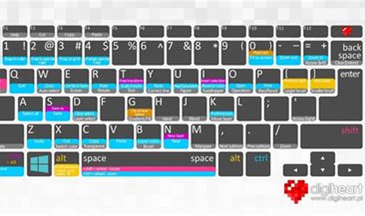 Master Clip Studio Paint: Shortcut Keys & Tips | Study Travel Abroad | Explore Educational Trips & Global Learning Opportunities