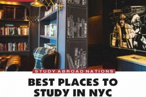 Best Public Places to Study Near You: Find Your Focus! | Study Travel Abroad | Explore Educational Trips & Global Learning Opportunities