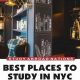 Best Public Places to Study Near You: Find Your Focus! | Study Travel Abroad | Explore Educational Trips & Global Learning Opportunities