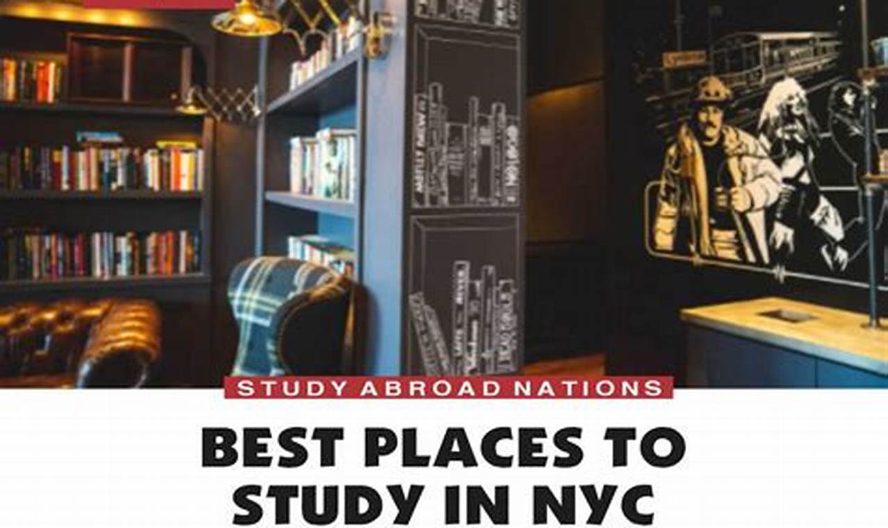 Best Public Places to Study Near You: Find Your Focus! | Study Travel Abroad | Explore Educational Trips & Global Learning Opportunities