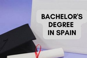Spanish Study: Translating Bachelors of Individualized Studies Tips | Study Travel Abroad | Explore Educational Trips & Global Learning Opportunities