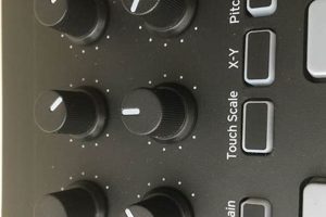 Korg nanoKEY Studio: Portable Music Production Powerhouse | Study Travel Abroad | Explore Educational Trips & Global Learning Opportunities