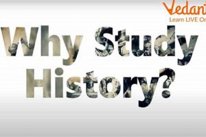 Ace History: How Do You Study History? + Tips | Study Travel Abroad | Explore Educational Trips & Global Learning Opportunities