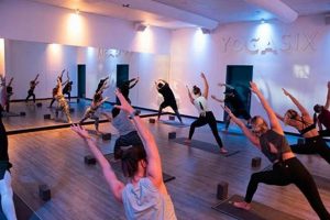 Your Yoga Studio Careers Guide: Jobs & Opportunities Study Travel Abroad | Explore Educational Trips & Global Learning Opportunities Your Yoga Studio Careers Guide: Jobs & Opportunities | Study Travel Abroad | Explore Educational Trips & Global Learning Opportunities