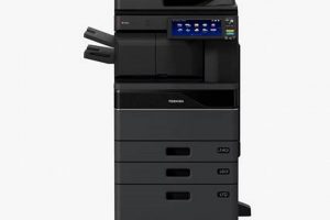 Toshiba e-Studio e355: Expert Study Guide & Tips | Study Travel Abroad | Explore Educational Trips & Global Learning Opportunities