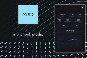 Master Your Mix: The Ultimate Mix Check Studio Guide | Study Travel Abroad | Explore Educational Trips & Global Learning Opportunities