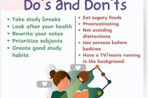 Effective Studying: Dos and Don'ts for Success! | Study Travel Abroad | Explore Educational Trips & Global Learning Opportunities