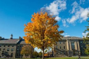 Unlock Colgate University Study Abroad Programs: Your Guide | Study Travel Abroad | Explore Educational Trips & Global Learning Opportunities