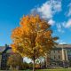 Unlock Colgate University Study Abroad Programs: Your Guide | Study Travel Abroad | Explore Educational Trips & Global Learning Opportunities
