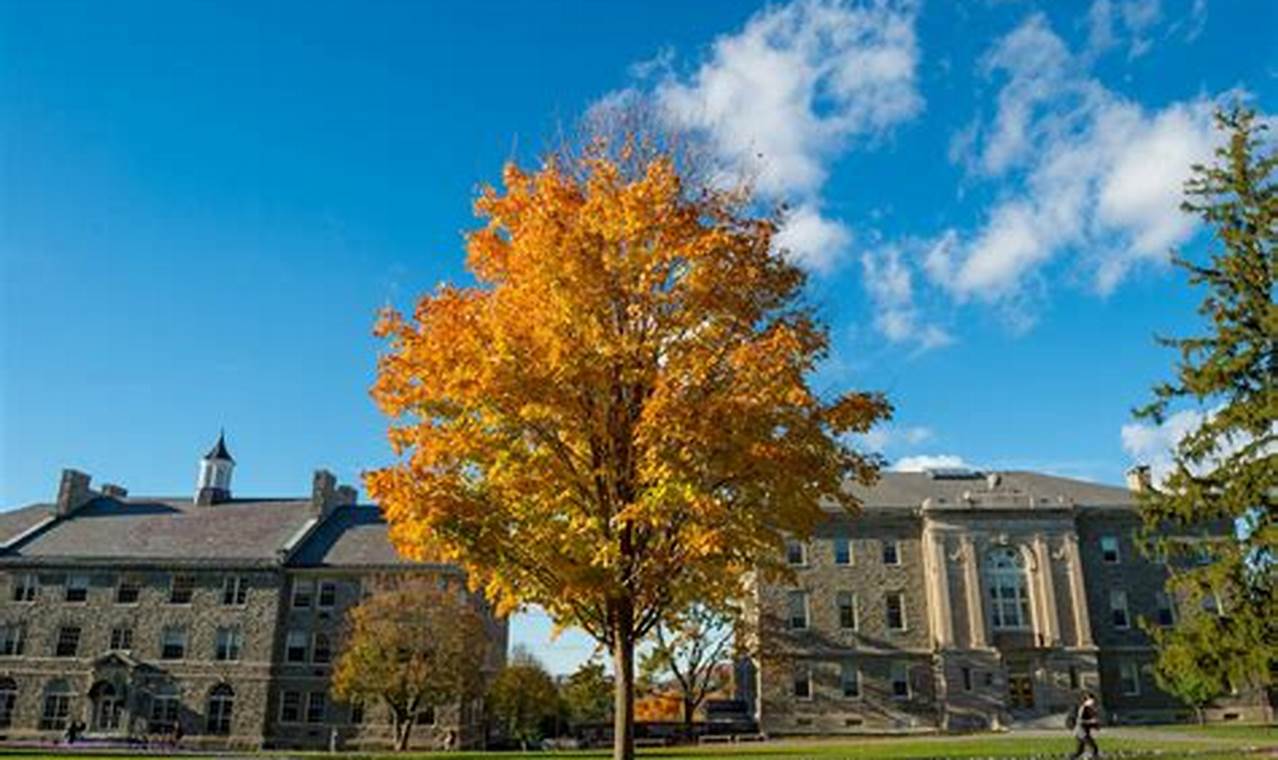 Unlock Colgate University Study Abroad Programs: Your Guide | Study Travel Abroad | Explore Educational Trips & Global Learning Opportunities