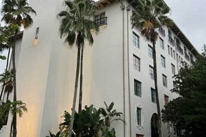 Find Pet-Friendly Hotels Near Universal Studios: Your Guide | Study Travel Abroad | Explore Educational Trips & Global Learning Opportunities