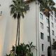 Find Pet-Friendly Hotels Near Universal Studios: Your Guide | Study Travel Abroad | Explore Educational Trips & Global Learning Opportunities