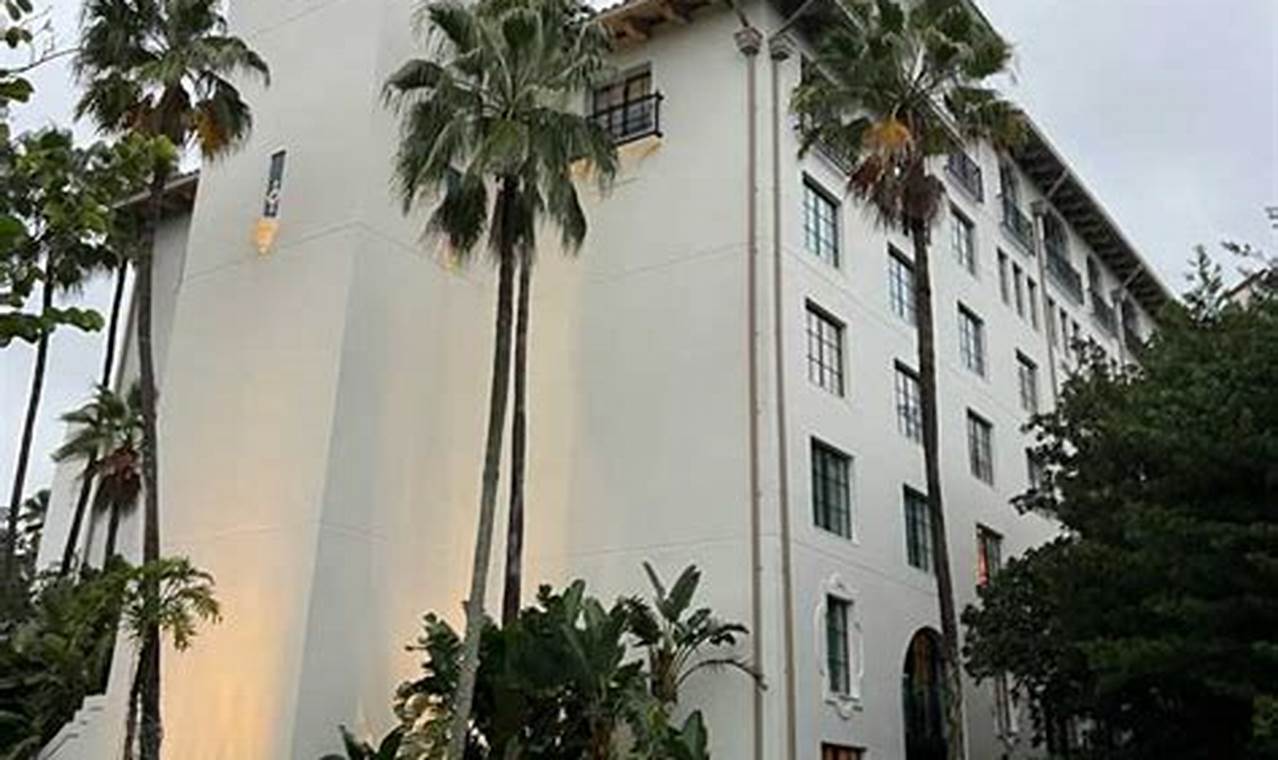 Find Pet-Friendly Hotels Near Universal Studios: Your Guide | Study Travel Abroad | Explore Educational Trips & Global Learning Opportunities