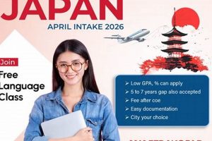 Why Xavier Study Abroad Programs Shine in 2024 | Study Travel Abroad | Explore Educational Trips & Global Learning Opportunities