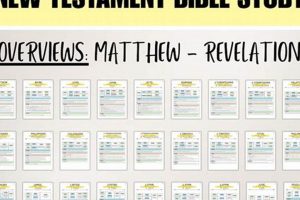 Best New Testament Study Guide [Year]: Resources &amp; More | Study Travel Abroad | Explore Educational Trips & Global Learning Opportunities