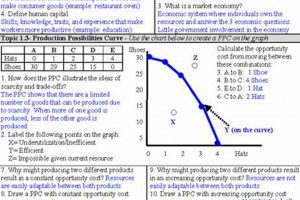 Best AP Econ Study Guide: Exam Prep Tips & Tricks | Study Travel Abroad | Explore Educational Trips & Global Learning Opportunities
