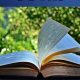 Best 1 Peter Study Guide [Free Tips & Resources] | Study Travel Abroad | Explore Educational Trips & Global Learning Opportunities