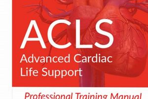 ACLS Study Guide: Ace Your Advanced Cardiac Life Support Exam! | Study Travel Abroad | Explore Educational Trips & Global Learning Opportunities