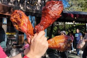 Universal Turkey Legs: The Best Flavor and location Guide | Study Travel Abroad | Explore Educational Trips & Global Learning Opportunities