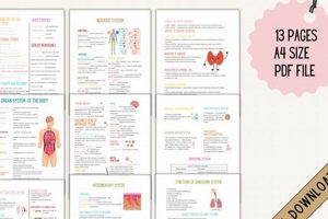 The Ultimate Practical Nursing Study Guide: Ace Your Exam! | Study Travel Abroad | Explore Educational Trips & Global Learning Opportunities