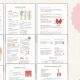 The Ultimate Practical Nursing Study Guide: Ace Your Exam! | Study Travel Abroad | Explore Educational Trips & Global Learning Opportunities