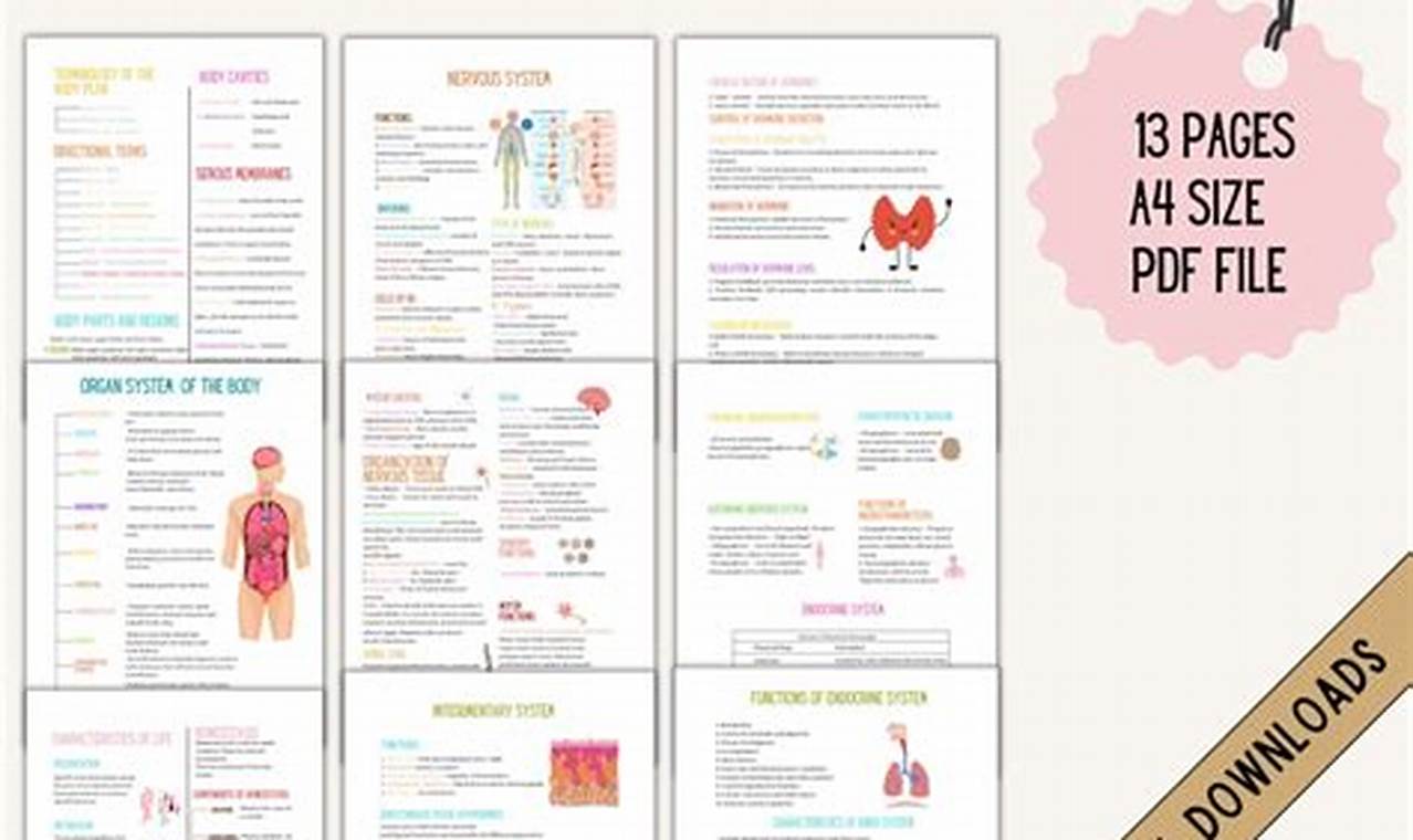 The Ultimate Practical Nursing Study Guide: Ace Your Exam! | Study Travel Abroad | Explore Educational Trips & Global Learning Opportunities