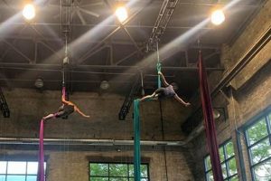 Unlock Warped Studios: A Creative Study Space | Study Travel Abroad | Explore Educational Trips & Global Learning Opportunities