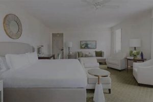Compact Living: Finding the Right Studio Suite for You | Study Travel Abroad | Explore Educational Trips & Global Learning Opportunities