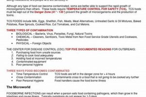 Ace Your Safe Serve Exam: Study Guide Secrets! | Study Travel Abroad | Explore Educational Trips & Global Learning Opportunities