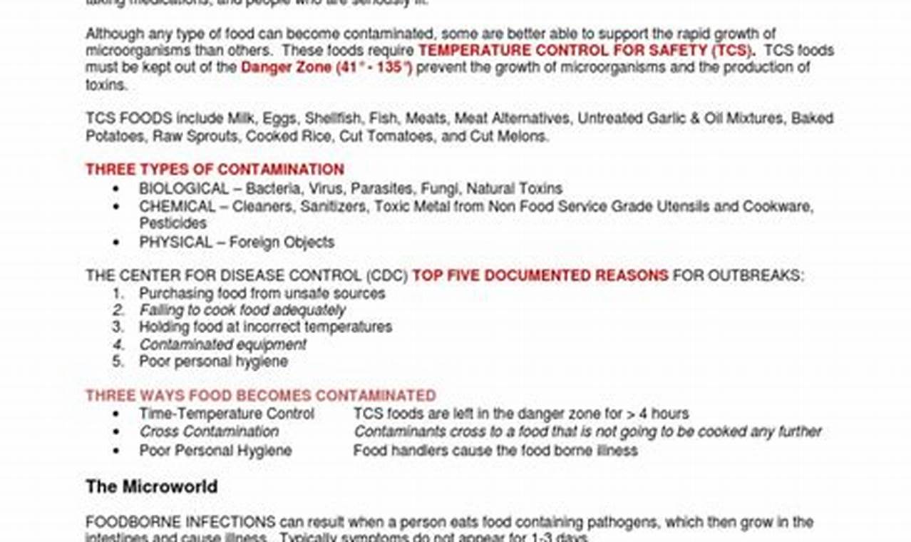 Ace Your Safe Serve Exam: Study Guide Secrets! | Study Travel Abroad | Explore Educational Trips & Global Learning Opportunities