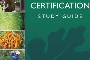 Best Arborist Certification Study Guide [Tips & Tools] | Study Travel Abroad | Explore Educational Trips & Global Learning Opportunities