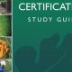 Best Arborist Certification Study Guide [Tips & Tools] | Study Travel Abroad | Explore Educational Trips & Global Learning Opportunities