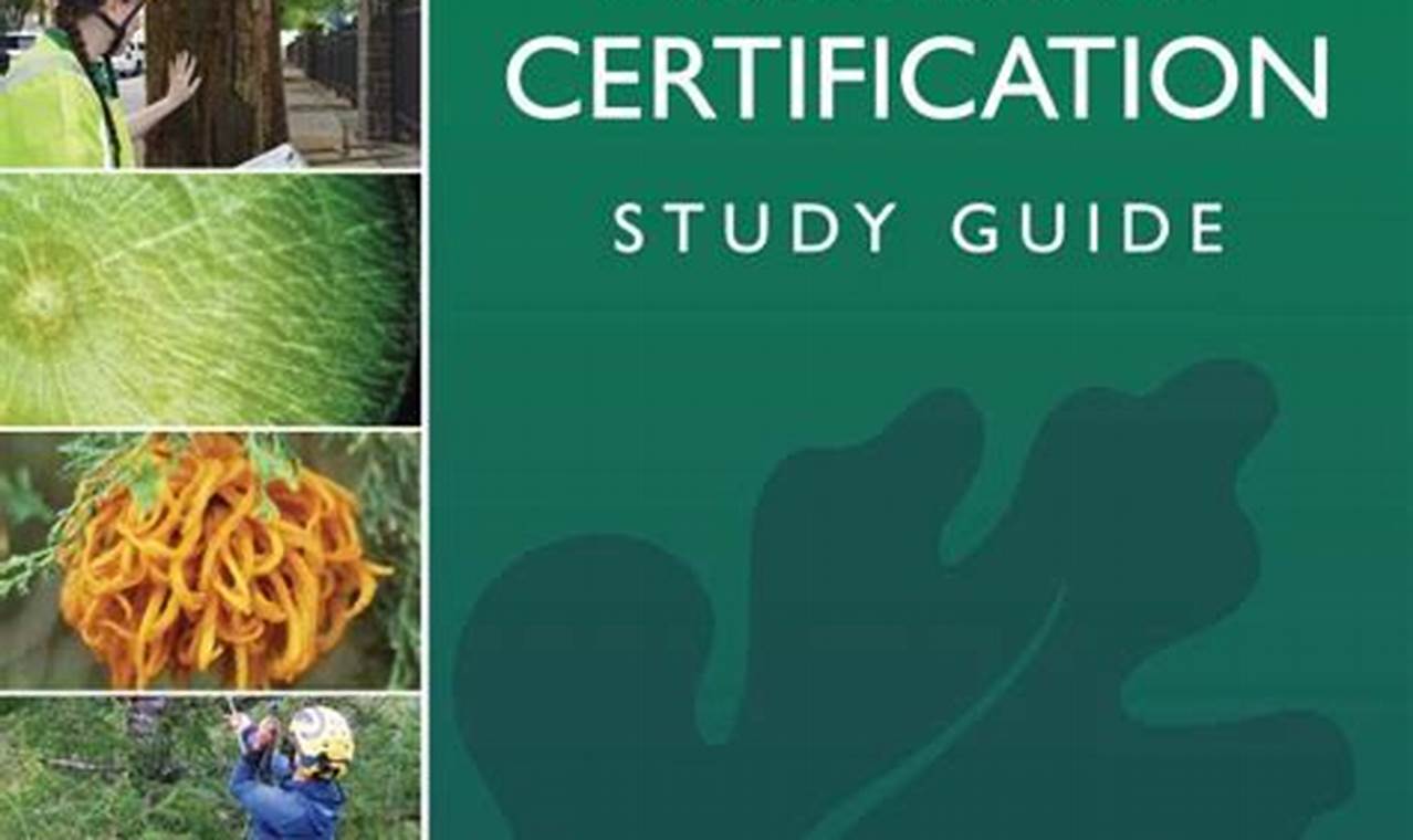 Best Arborist Certification Study Guide [Tips & Tools] | Study Travel Abroad | Explore Educational Trips & Global Learning Opportunities