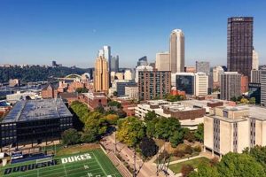 Your World Awaits: Study Abroad at Duquesne University | Study Travel Abroad | Explore Educational Trips & Global Learning Opportunities