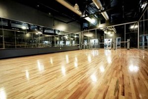 Find Your Dream Dance Studios for Sale Today! | Study Travel Abroad | Explore Educational Trips & Global Learning Opportunities