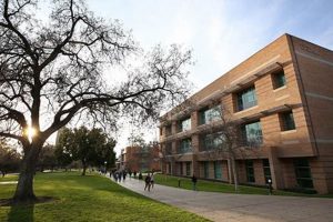 Unlock Global Potential: UCR Study Abroad Programs Now! | Study Travel Abroad | Explore Educational Trips & Global Learning Opportunities