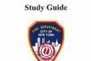 The Ultimate S95 Study Guide: Simplified &amp; Practical! | Study Travel Abroad | Explore Educational Trips & Global Learning Opportunities